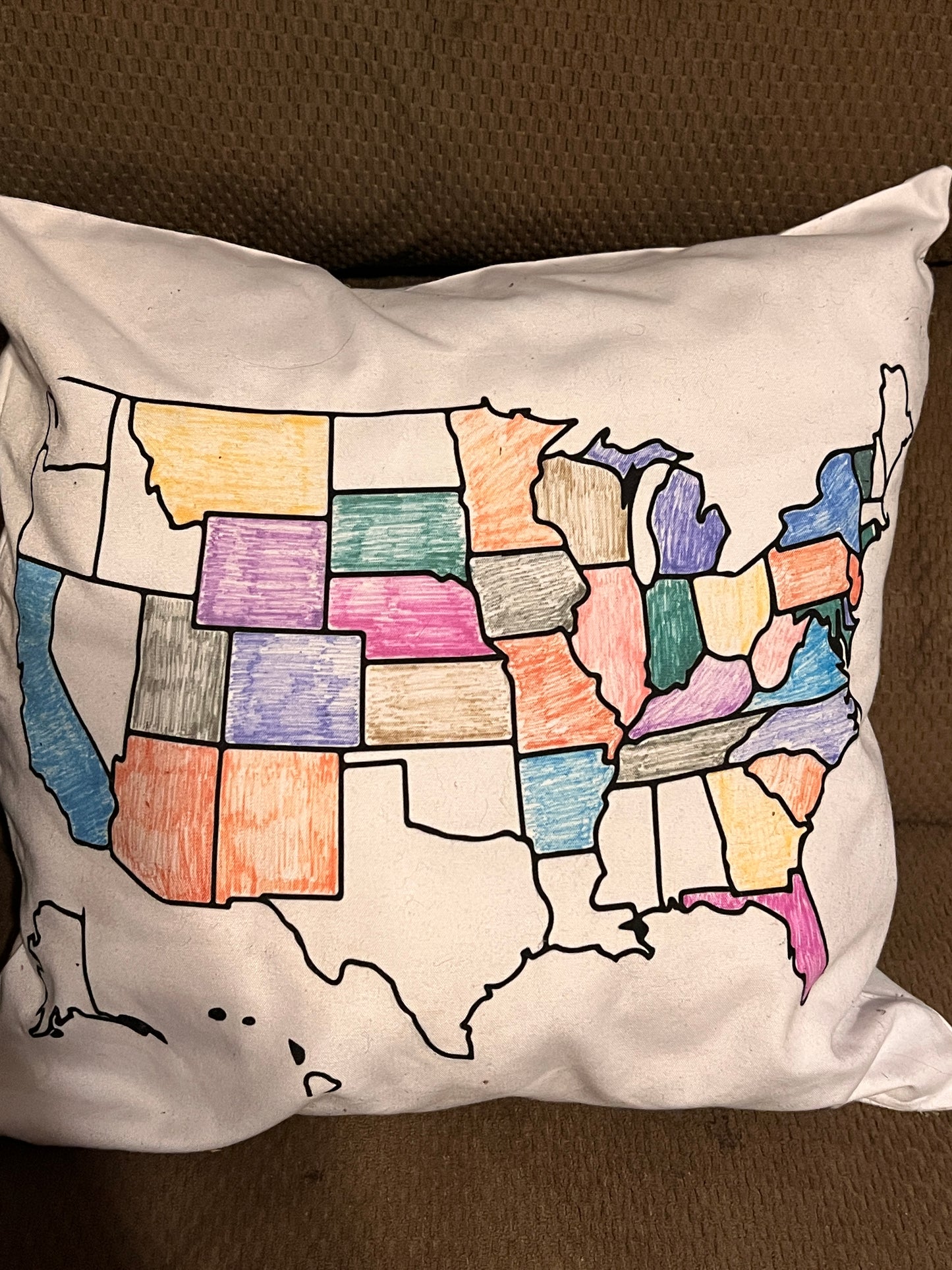 USA Where Have You Been Pillow